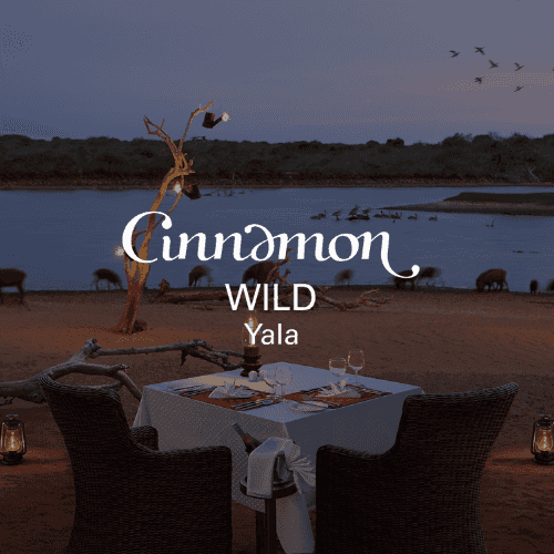 Cinnamon Wild Yala Image