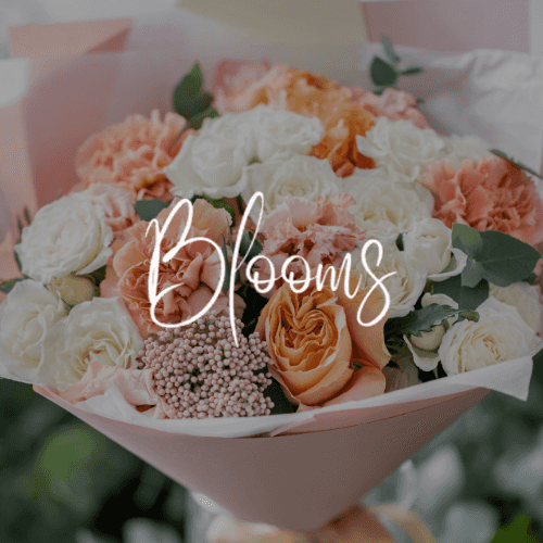 Blooms Image