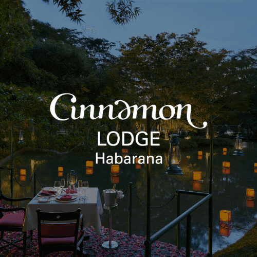 Cinnamon LODGE Habarana Image