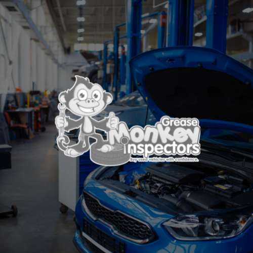Grease monkey inspectors Image