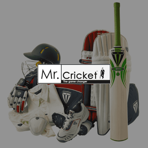 Mr Cricket Image